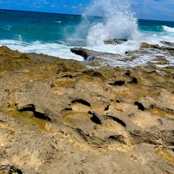 Meet your Posher, Heidi - Picture 1 of 1